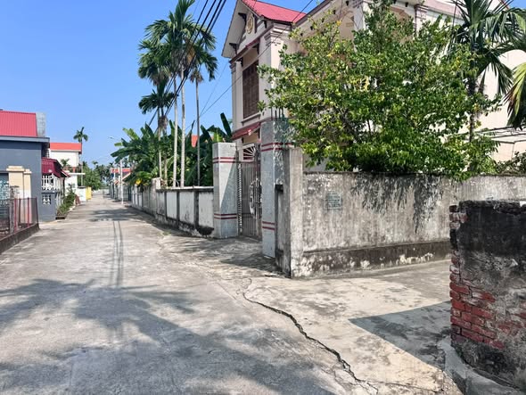 Bán đất lô góc thôn Tràng, Tam Đa, Vĩnh Bảo – gần 150m² thổ cư